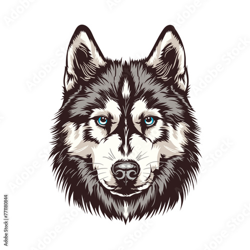 Siberian Husky Dog Stock Vector Illustration