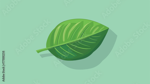 Simple leaf icon image flat cartoon vactor 