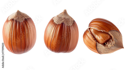 Nutty Delights: Close-Up Hazelnut and Filbert Nut on Transparent Background for Culinary Creations, Vegan Snacks, and Healthy Ingredient Additions. photo