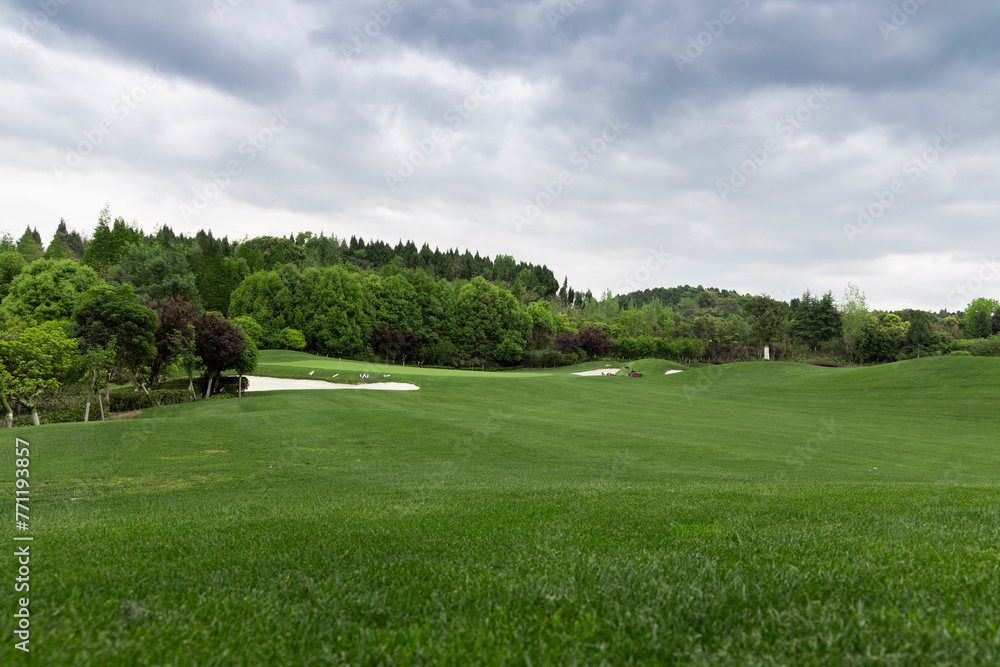 The vast golf course in summer morning The vast golf course in summer morning