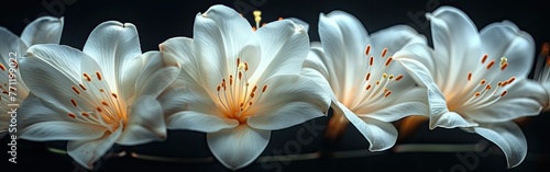 Exotic White Flowers Macro on Black - Perfect for Anniversary  Wedding  Mother s   Women s Day Greeting Cards