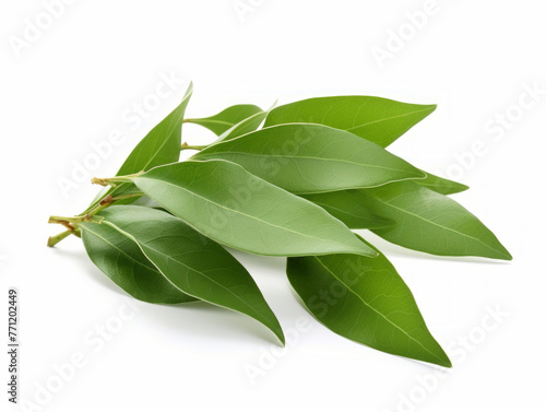 Close-up of bay leaves on white background, vitamin and health concept. Generative AI. 