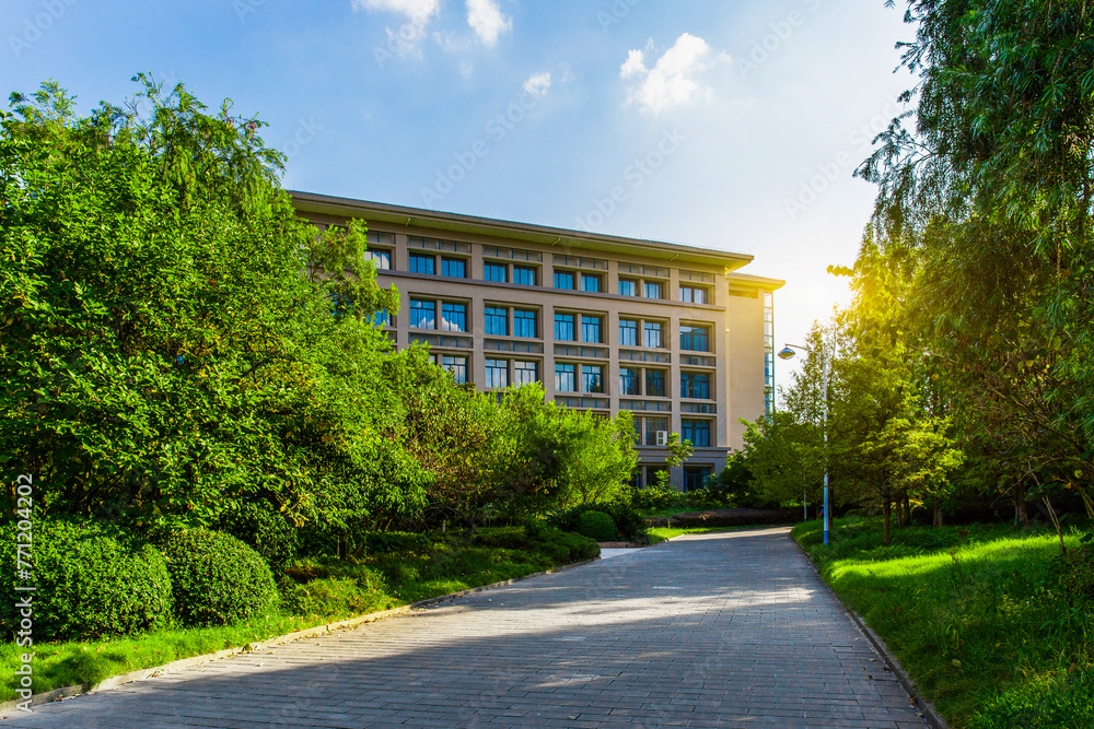 A quiet and uninhabited university campus on a sunny summer day