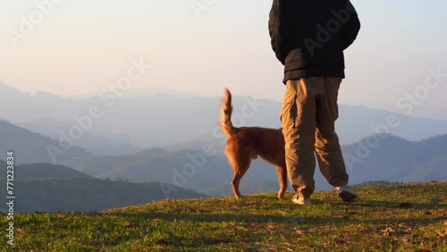 landscape and travel with solo freelancer man camping work outdoor and relax play with dog with layer of mountain background