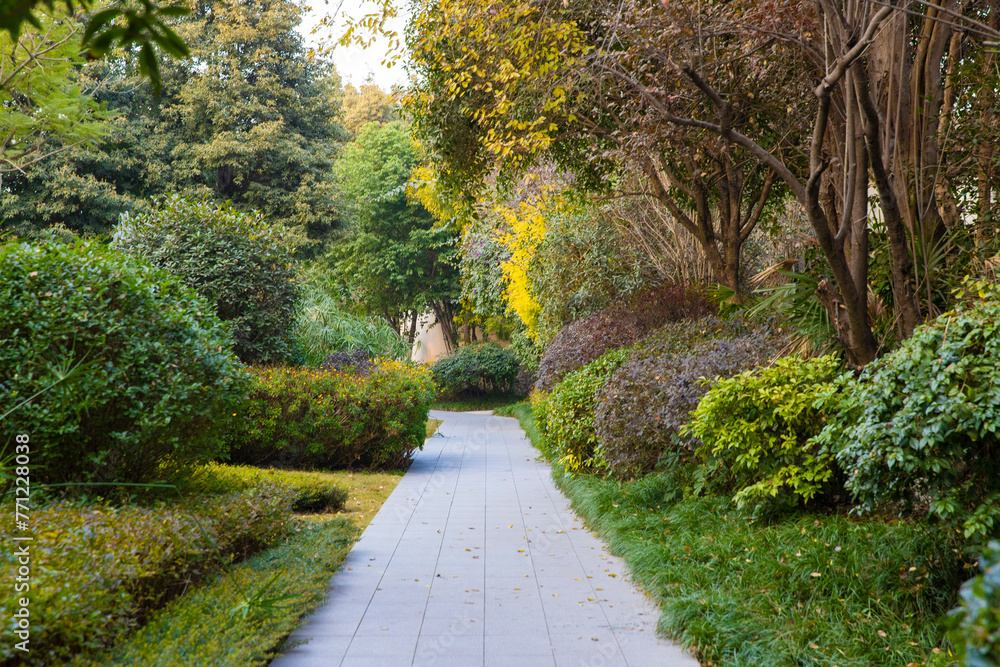 The autumn scenery of modern urban parks, where the leaves turn yellow, is very beautiful The autumn scenery of modern urban parks, where the leaves turn yellow, is very beautiful