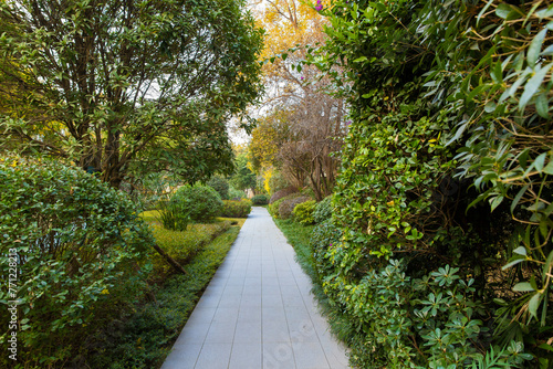 The autumn scenery of modern urban parks, where the leaves turn yellow, is very beautiful photo