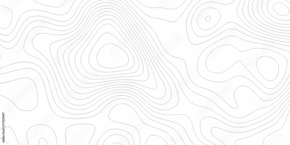 White wave paper curved reliefs abstract background. The topographic map contour in lines isolated. Abstract white topographic map background with lines. Background of the topography map.