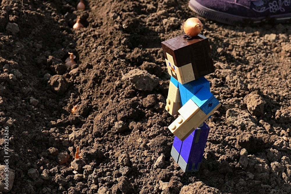 Fototapeta premium LEGO Minecraft figure of smiling Steve with onion nurseling on his head, checking planted onions in garden soil.