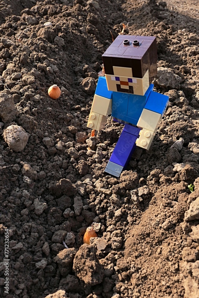 Naklejka premium LEGO Minecraft smiling figure of Steve checking planted onion nurselings in garden seed bed, spring daylight sunshine