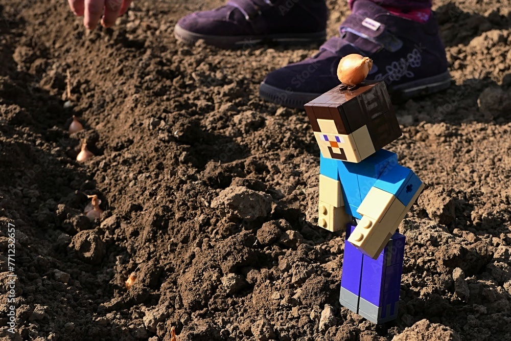 Naklejka premium LEGO Minecraft figure of smiling Steve with real onion nurseling on his head checking planted onions in soil, children shoes in background.