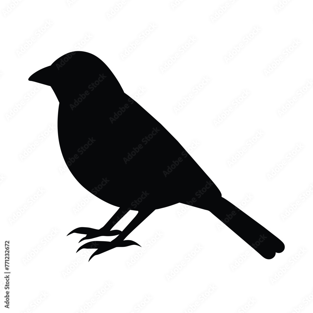 Fototapeta premium silhouette of a tanager bird on white