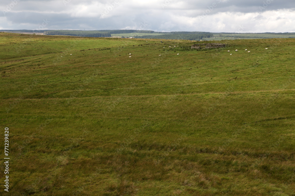 Along the Hadrian's wall between Twice Brewed and Chollerford - Northumberland - England - UK Along the Hadrian's wall between Twice Brewed and Chollerford - Northumberland - England - UK