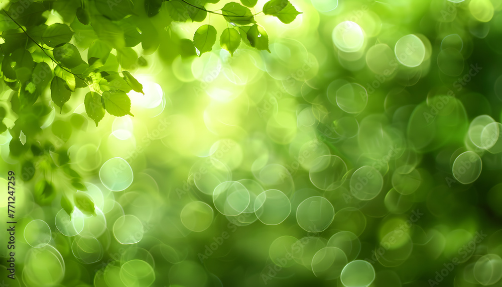 Fototapeta premium Minimalist background
