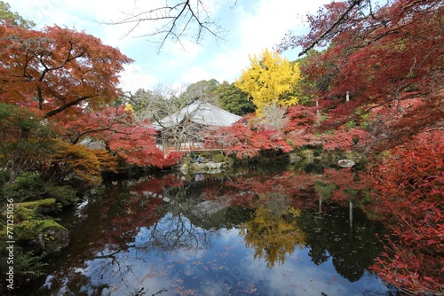 Benten-ike Pond and autumn leaves in Daigoji Temple, Kyoto, Japan photo