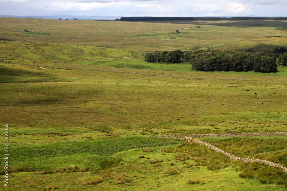 Along the Hadrian's wall between Twice Brewed and Chollerford - Northumberland - England - UK