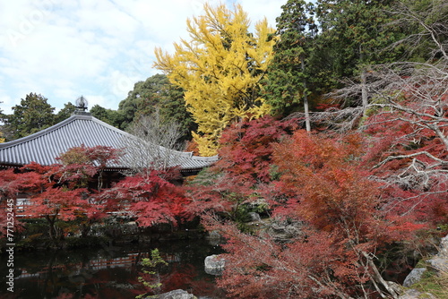 Kannon-do, Benten-ike Pond and autumn leaves in Daigoji Temple, Kyoto, Japan photo