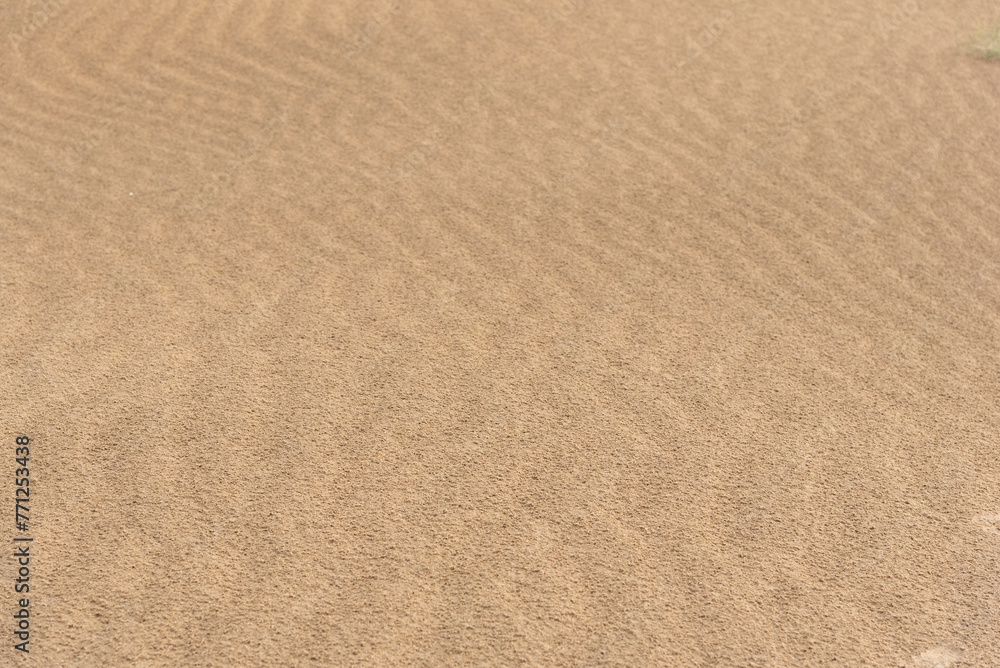 Natural background of sand. Useful for designing and background purpose. 