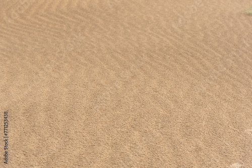Natural background of sand. Useful for designing and background purpose. 