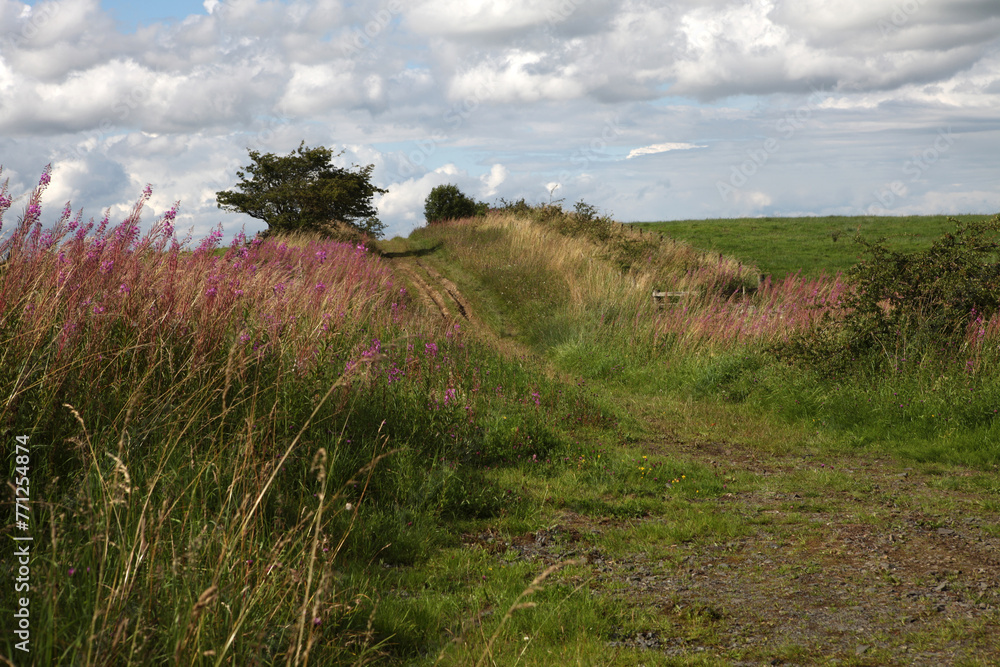Along the Hadrian's wall between Twice Brewed and Chollerford - Northumberland - England - UK Along the Hadrian's wall between Twice Brewed and Chollerford - Northumberland - England - UK