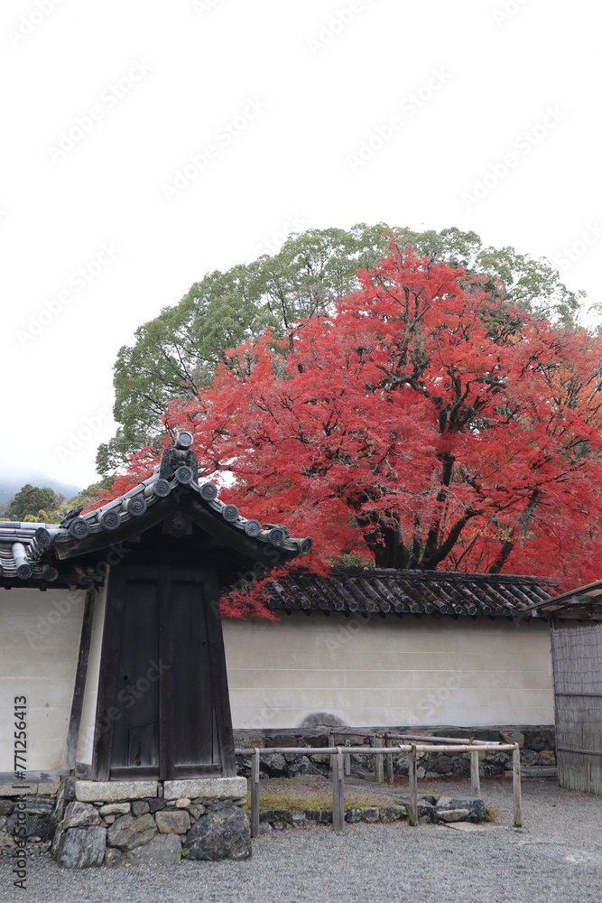 Sanbo-in and autumn leaves in Daigoji Temple, Kyoto, Japan Sanbo-in and autumn leaves in Daigoji Temple, Kyoto, Japan