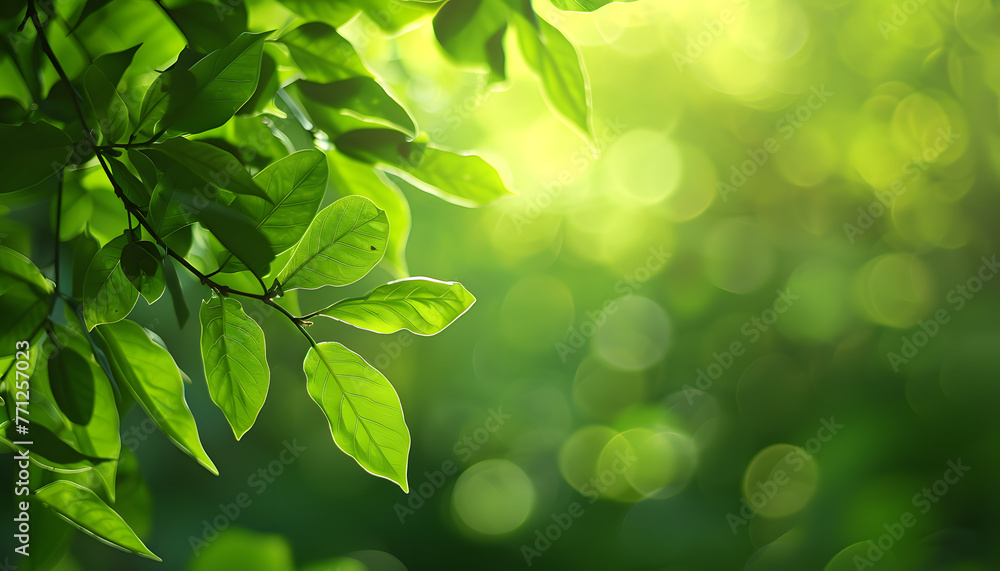 Minimalist background Minimalist background