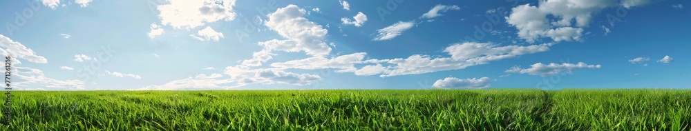 Grass Field Under Blue Sky With Clouds
