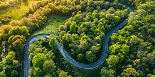 Soft light in countryside woodland or park. Drone shoot above colorful green texture in nature. Summer in forest aerial top view. Winding road and forest trees 