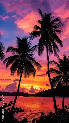 Tropical sunset with silhouette of palm trees © Vasili