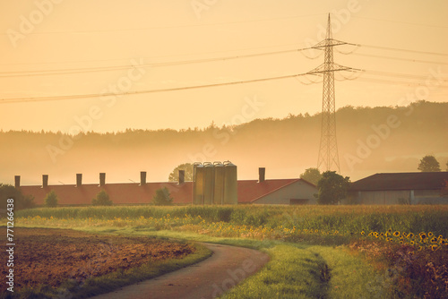Foggy morning on a tranquil rural farm with a beautiful sunrise