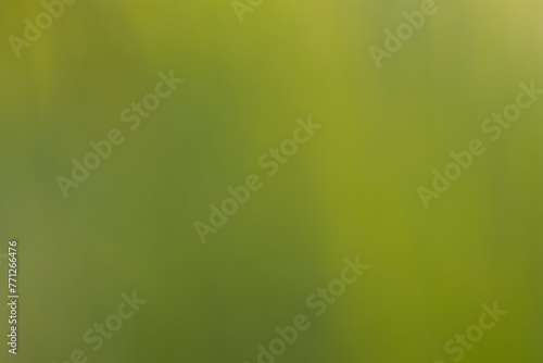 Abstract green nature background concept, bright pastel colors of spring and summer