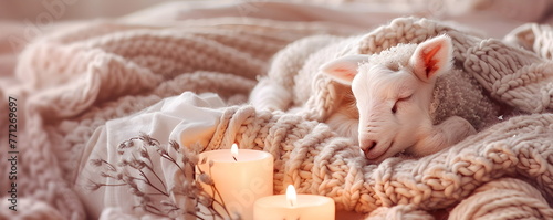 A small lamb on a background of a knitted blanket in pastel shades in the Hugo style.