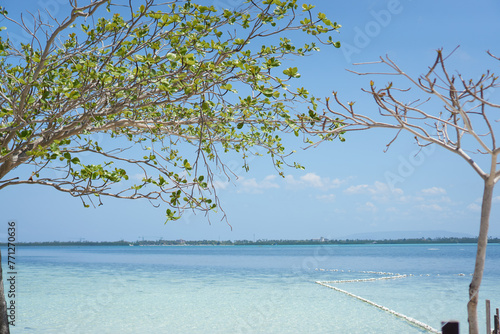 Dumaluan Beach in Bohol, Philippines photo