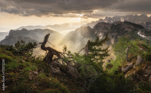 Beautiful summer morning in the mountains of Julian Alps photo