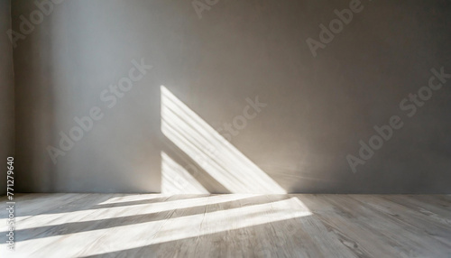 Abstract minimal empty gray, white 3d room background. Modern Studio showcase with copy space. Mock up scene with natural window shadows, dappled light overlay effect. Front view photo