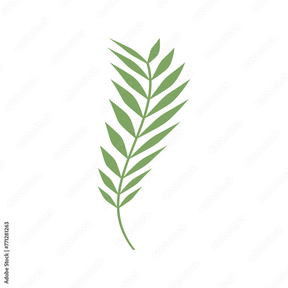 Fototapeta premium Tropical Leaves