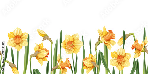 Seamless border of narcissus flowers on an isolated background. Illustration with spring flowers for Easter. Suitable for decor, fabric, cards, backgrounds, wallpapers