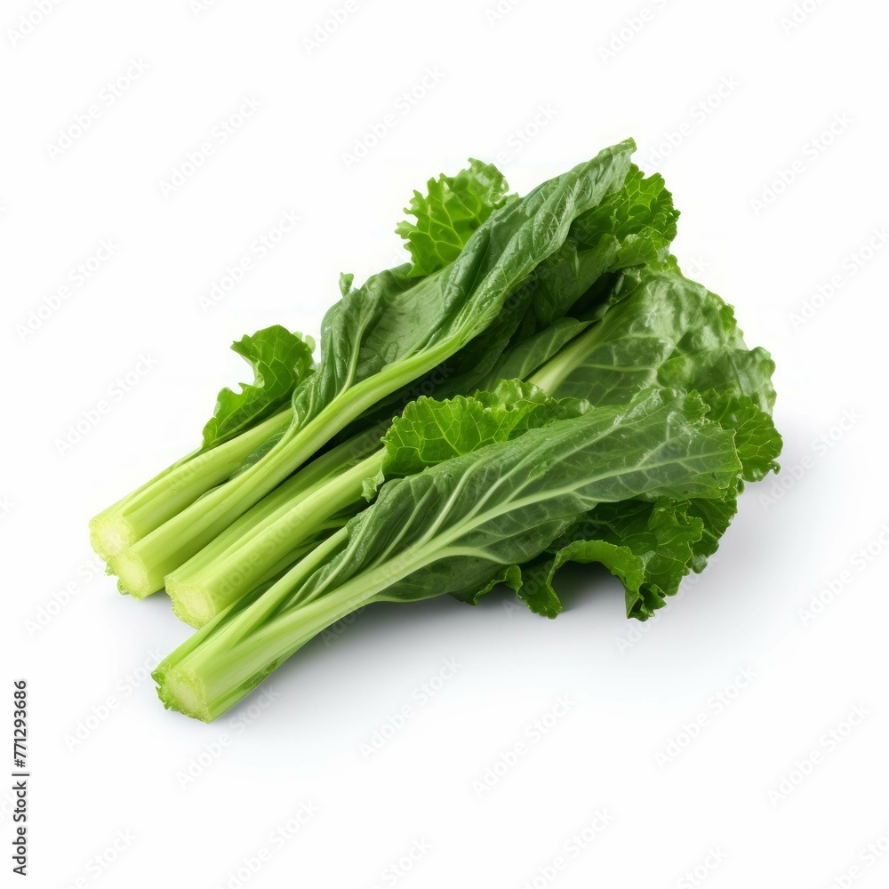 Mustard greens isolated on white background Mustard greens isolated on white background