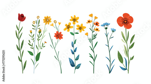 Flowers Flat vector isolated on white background --ar
