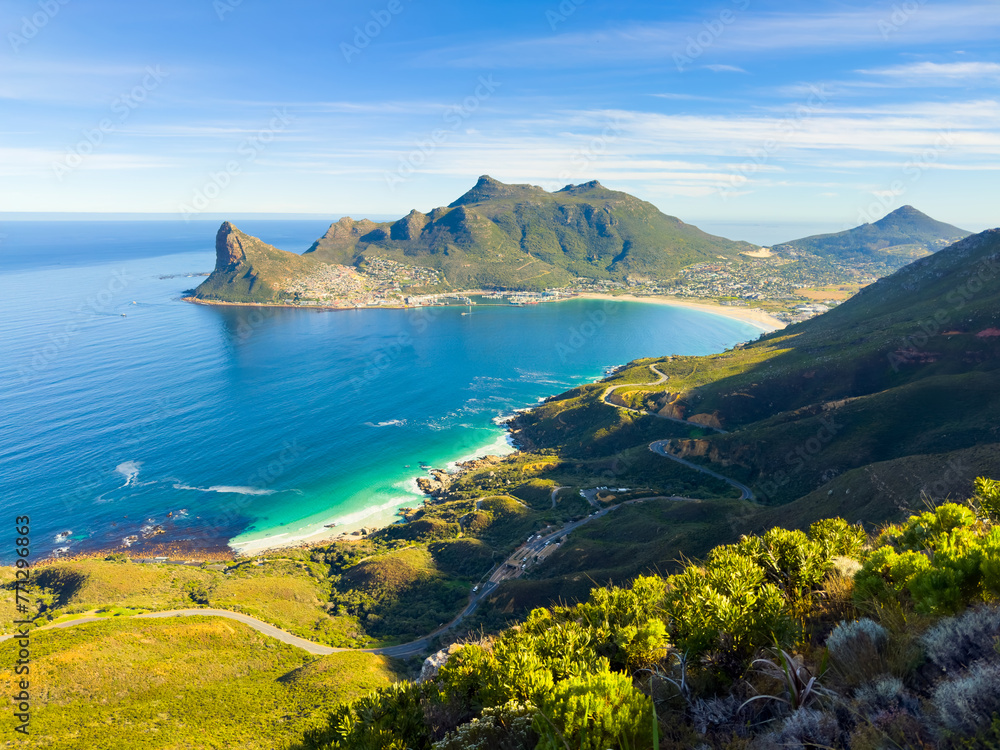 Fototapeta premium Hout Bay Coastal mountain landscape with fynbos flora in Cape Town.