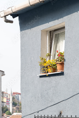 A captivating side view of a colorful historical Istanbul house with a small flower pot placed in front of a window. A calming and inspiring photograph blending culture and serenity. photo