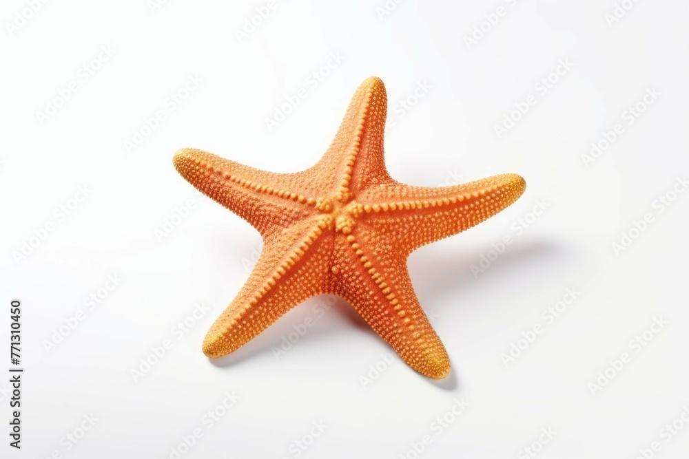 one of the starfish is on white background one of the starfish is on white background