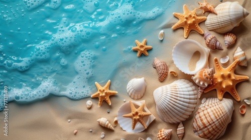 starfish and shells on the seashore