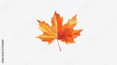 Maple tree leaf vector image Flat vector