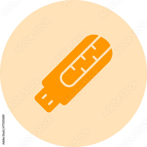 Pendrive Vector Icon