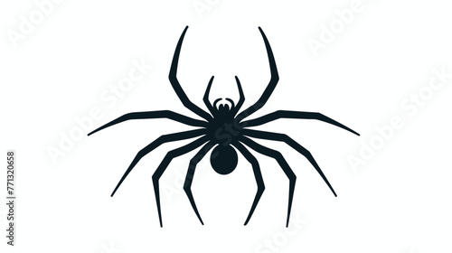 Spider icon isolated on white background. Flat vector