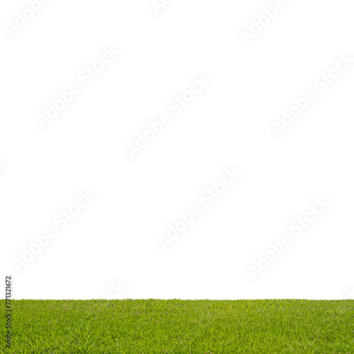 A strip of green grass at the bottom on a white background, used as a design element for layouts or collages