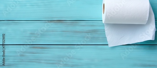 A roll of toilet paper is p...