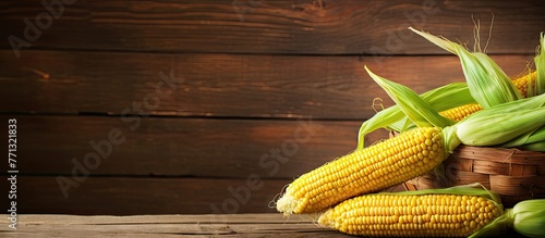 Fresh and ripe corn neatly ...