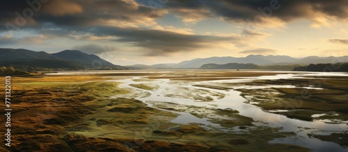 A serene view of a river ge...