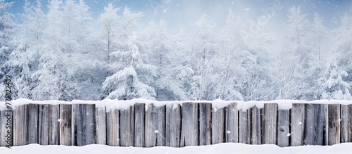 Snow covers the ground arou...